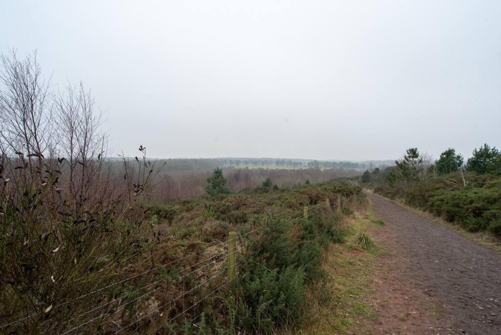 Sherwood Pines - Big Garden! Clipstone المظهر الخارجي الصورة